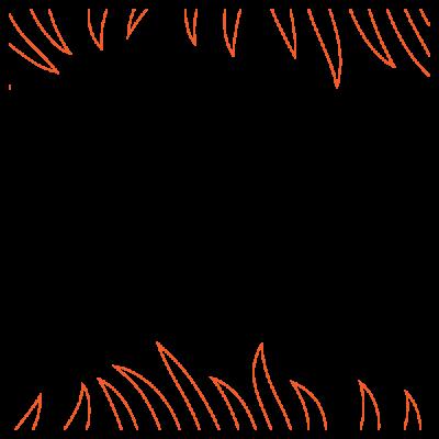 Tiger Stripe