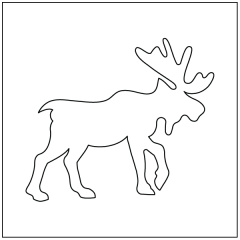 Moose - Motif