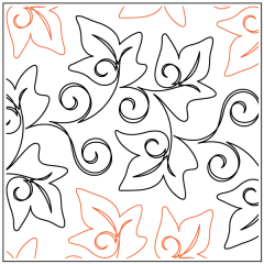 English Ivy - Pantograph