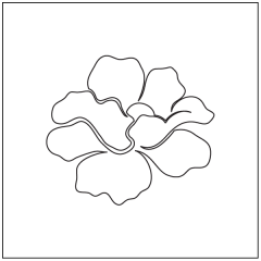 Poppy Feathers - Motif #2