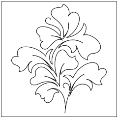 Hyacinth - Motif